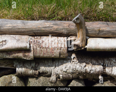 Reconstructed ancient  iron age longhouses on archaeological site in Ullandhaug Stavanger Norway, detail of roof construction Stock Photo