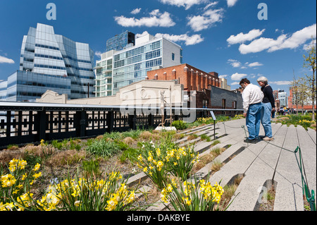 High Line New York City IAC Building Frank Gehry Architecture Chelsea Manhattan New York High Line Park Stock Photo