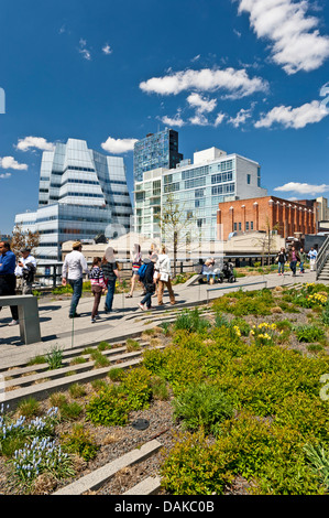 High Line New York City IAC Building Frank Gehry Architecture Chelsea Manhattan New York High Line Park Stock Photo