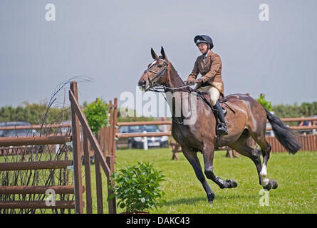 Stithians, UK. 15th July, 2013. Horse approaches the fence during the show jumping contest at the Stithians show, Cornwall's biggest one day show. Credit:  Bob Sharples/Alamy Live News Stock Photo