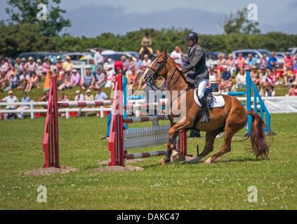 Stithians, UK. 15th July, 2013. Horse refuses to jump the fence at the Stithians show, Cornwall's biggest one day show. Credit:  Bob Sharples/Alamy Live News Stock Photo