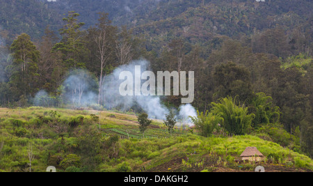Traditional homes and gardens on a hillside in Eastern Highlands province, Papua New Guinea Stock Photo