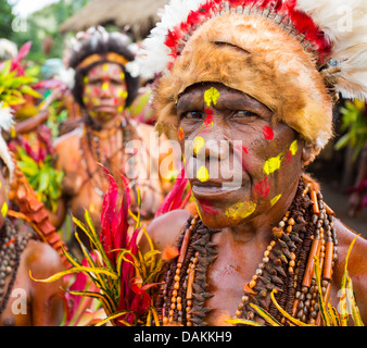 Old woman in the Selehoto Alunumuno tribe in traditional tribal dress, highlands of Papua New Guinea Stock Photo