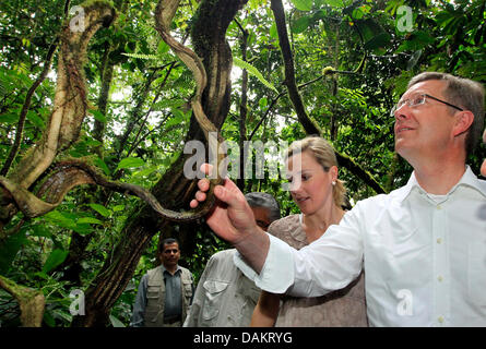 German Federal President Christian Wulff and his wife Bettina look at tropical plants during a tour through the rain forst in San Jose, Costa Rica, 4 May 2011. The German head of state stays in Costa Rica for a two-day visit before travelling on to Brazil. Photo: Wolfgang Kumm Stock Photo