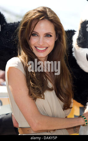 Actress Angelina Jolie poses to promote the animated film 'Kung Fu Panda 2' during the 64th International Film Festival on the terrace of Hotel Carlton in Cannes, France, 11 May 2011. Photo: Hubert Boesl Stock Photo