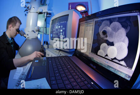 PhD student Patrick With looks through a transmission electron microscope as he measures samples of nano hollow spheres made of zirconium at the insitute for technical chemistry at the university in Leipzig, Germany, 4 May 2011. Scientists are researching the dynamics of molecules and particles as part of a fundamental research programme that aims to give a better and targeted cont Stock Photo