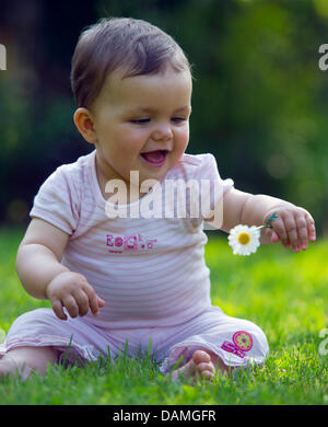 An eleven-month-old baby plays with a flower in a garden in Sieversdorf, Germany, 21 May 2011. Photo: Patrick Pleul Stock Photo