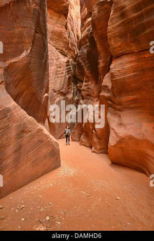 Hiker in the Buckskin Gulch slot canyon, Kanab, Utah Stock Photo