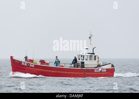 Fishing Boats with lobsters and crabs at Seahouses Northumberland, England  -2013 Stock Photo