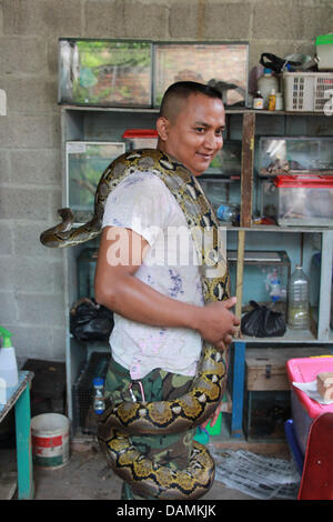 June 30, 2013 - BINTAN ISLAND, INDONESIA - JULY 16, 2013: UNDATED PHOTO - Dwy Ibrahim, 30 years old, with a snake and reptile collection at his home in Bintan island, Indonesia. Dwy Ibrahim is a reptile lover who has 30 dangerous reptiles ranging from pythons, king cobra, viper snakes and crocodiles. Dwy Ibrahim has collected reptiles for two years, which he got from hunting to the forest and a small portion was purchased from a friends. In snakes years 2013, he hopes to add up to 100 snakes, and hope to have good fortune in the year of the snake. (Credit Image: © Sijori Images/ZUMAPRESS.com) Stock Photo