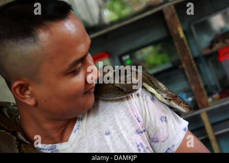 June 30, 2013 - BINTAN ISLAND, INDONESIA - JULY 16, 2013: UNDATED PHOTO - Dwy Ibrahim, 30 years old, with a snake and reptile collection at his home in Bintan island, Indonesia. Dwy Ibrahim is a reptile lover who has 30 dangerous reptiles ranging from pythons, king cobra, viper snakes and crocodiles. Dwy Ibrahim has collected reptiles for two years, which he got from hunting to the forest and a small portion was purchased from a friends. In snakes years 2013, he hopes to add up to 100 snakes, and hope to have good fortune in the year of the snake. (Credit Image: © Sijori Images/ZUMAPRESS.com) Stock Photo