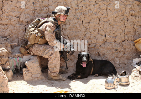 US Marine Lance Cpl. Joshua Allen rests with his dog, Joe, during an operation searching for insurgents in villages July 2, 2013 in Helmand Province, Afghanistan. Stock Photo