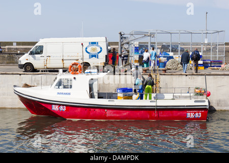 Fishing Boat with lobsters and crabs at Seahouses Northumberland, England. -2013 Stock Photo