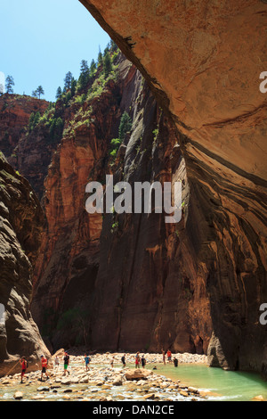 USA, Utah, Zion National Park, The Narrows, tourists hiking the Canyon in the Virgin River Stock Photo