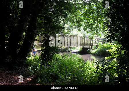 lullingstone country park kent uk 2013 Stock Photo