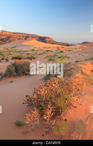 USA, Utah, Coral Pink Sand Dunes State Park, Near Zion Canyon Stock Photo