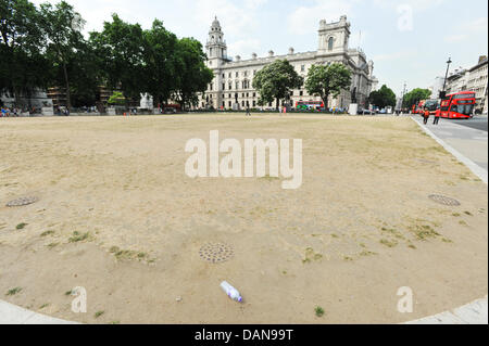 Parliament Square, London, UK. 16th July, 2013. The grass in Parliament Square is dried out and yellow with the constant  high temperature and sunny weather caused by Britain's heat wave. Credit:  Matthew Chattle/Alamy Live News Stock Photo