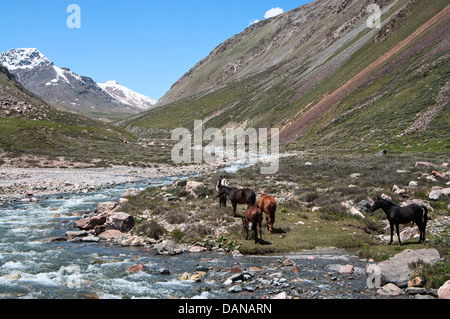 mountain landscape, Tien Shan Stock Photo