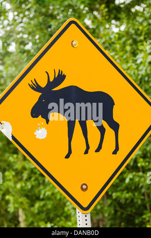 Moose crossing road sign with bullet holes, Glen Highway; Highway 1, Alaska, USA Stock Photo