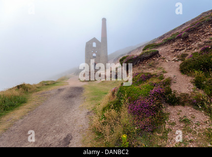 The ruins of Towanroath pumping engine house rising out of the mist at Wheal Coates at St. Agnes in Cornwall Stock Photo