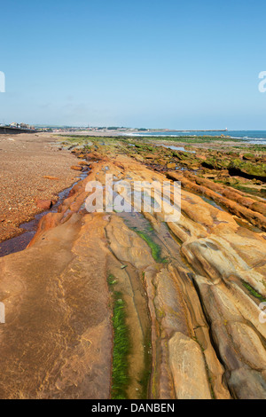 Spittal Beach Sandstone rock strata and water. Spittal, Berwick upon ...