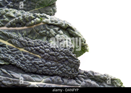 Cavolo Nero Kale Stock Photo