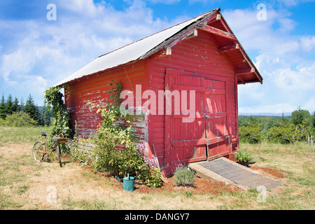 Old Tool Shed Red Barn with Rusty Bicycle and Watering Can Landscape Display at Farm Stock Photo