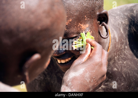 Two Suri (Surma) naked young men body painting each other, Ethiopia