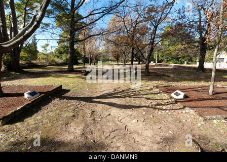 Prime Ministers' Corridor of Oaks in the Blue Mountains, NSW, Australia. Stock Photo