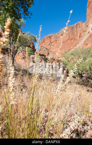 Rocky hills at the entry of Echidna Chasm, Purnululu National Park (Bungle Bungles), Western Australia Stock Photo