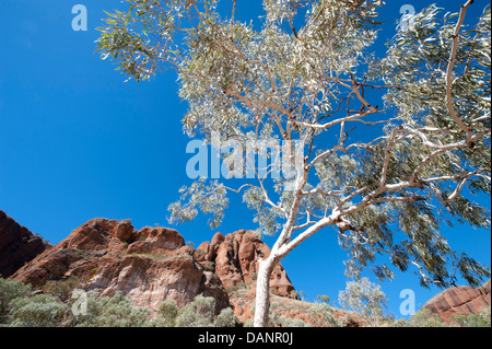 Rocky hills at the entry of Echidna Chasm, Purnululu National Park (Bungle-Bungles), Western Australia Stock Photo