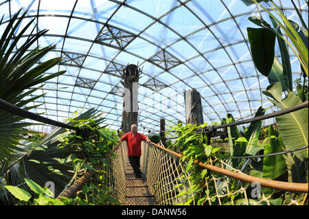 Director Dr. Joerg Junhold stands on a platform in Gondwanaland at the zoo in Leipzig, Germany, 3 June 2011. The zoo has an ongoing project with six areas where visitors and scientists can watch animals in their natural habitat. The project was founded in 1999 and will receive 130 million Euro until 2015. Photo: Waltraud Grubitzsch Stock Photo