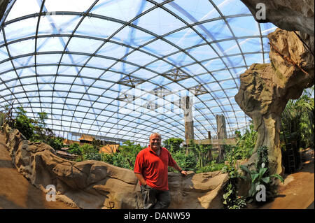 Director Dr. Joerg Junhold stands in the new tropical glasshouse Gondwanaland at the zoo in Leipzig, Germany, 3 June 2011. The zoo has an ongoing project with six areas where visitors and scientists can watch animals in their natural habitat. The project was founded in 1999 and will receive 130 million Euro until 2015. Photo: Waltraud Grubitzsch Stock Photo