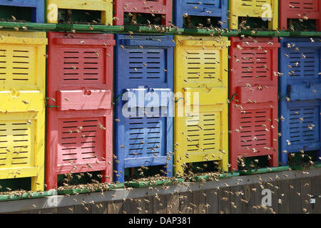 Different colours and signs that give bees directions for their flight ...