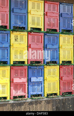 Different colours and signs that give bees directions for their flight ...