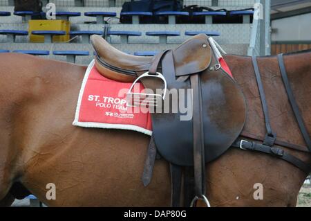 A handout file dated 30 July 2011 shows a horse standing near the event Saint-Tropez-Polo-Trophy 2011 in Saint Tropez, France, 30 July 2011. Photo: KDF Television & Picture Germany / For editorial use only Stock Photo