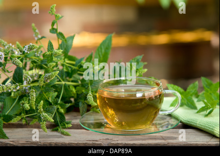 peppermint tea Stock Photo