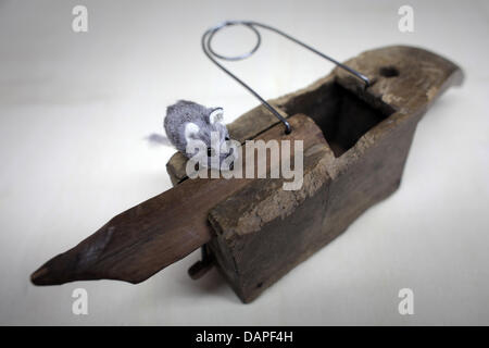 A grey plastic mouse sits inside a historical mouse trap from around 1700 at the Technology Museum in Speyer, Germany, 16 August 2011. From 19 August to 30 November 2011, the exhibition 'Mausetod! People, Mice, Mouse Traps' will be at the museum in Speyer. The exhibition shows historical mouse traps from different centuries. Photo: Fredrik von Erichsen Stock Photo