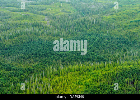 South Moresby island from the air Haida Gwaii Queen Charlotte Islands ...