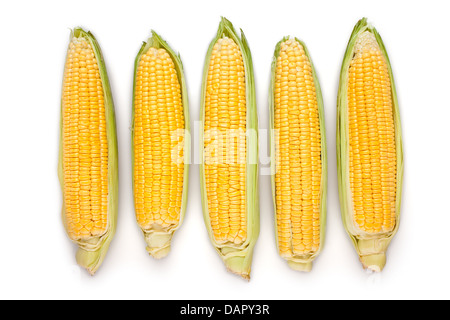 corn ear group on white background Stock Photo