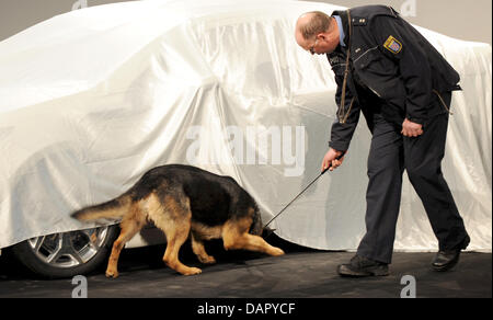 FILE - An archive picture dated 31 March 2009 shows a police dog trainer and a German shepherd examining a covered Opel Ampera prior to a speech of Chancellor Merkel in front of Opel staff members in Ruesselsheim, Germany. The use of German shepherds in German police and military forces is endangered by the Belgian counter-part, which is considered to be faster and cheaper. Photo:  Stock Photo