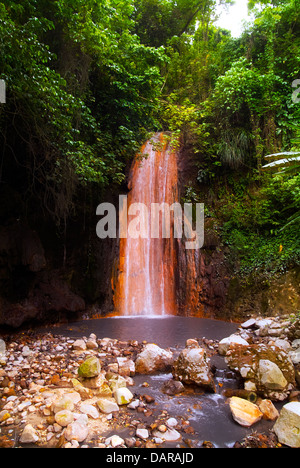 Diamond falls and botanical gardens near Soufriere St. Lucia. Stock Photo