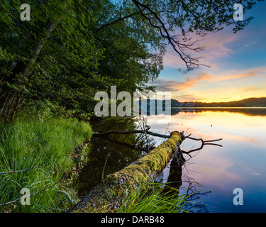 Lake scene at sunset, Rådasjön, Sweden Stock Photo