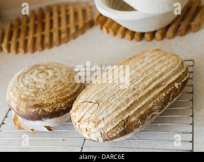 Two freshly baked loaves of homemade white sourdough bread Stock Photo
