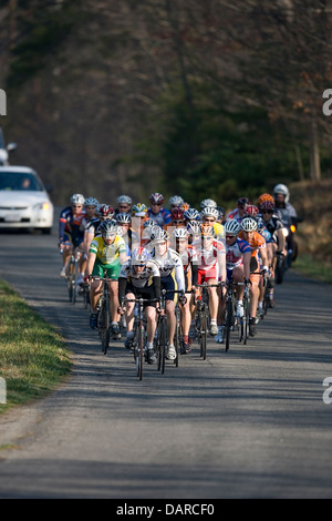 Peloton of a college cycling road race, Albemarle County, Virginia. Stock Photo
