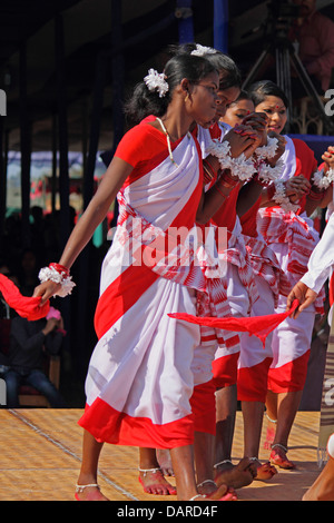 Tea tribes Performing Traditional Jumur Dance at Namdapha Eco Cultural ...