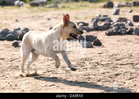 Stock Photo