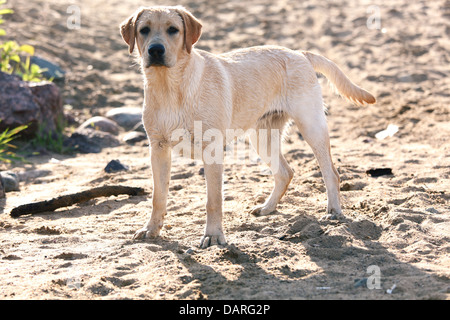 Stock Photo