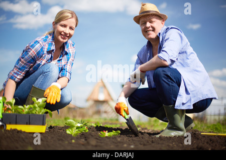 Image of couple of farmers seedling sprouts in the garden Stock Photo