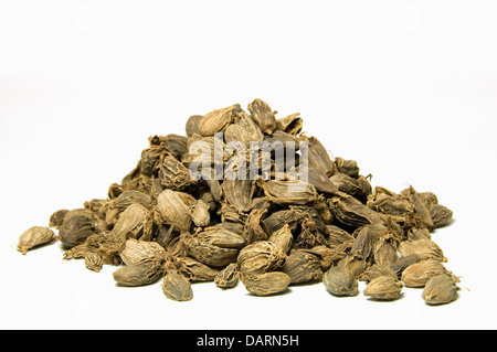Cardamom seeds, isolated on white background Stock Photo